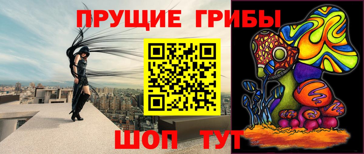 Псилоцибиновые грибы мухоморы Чайковский