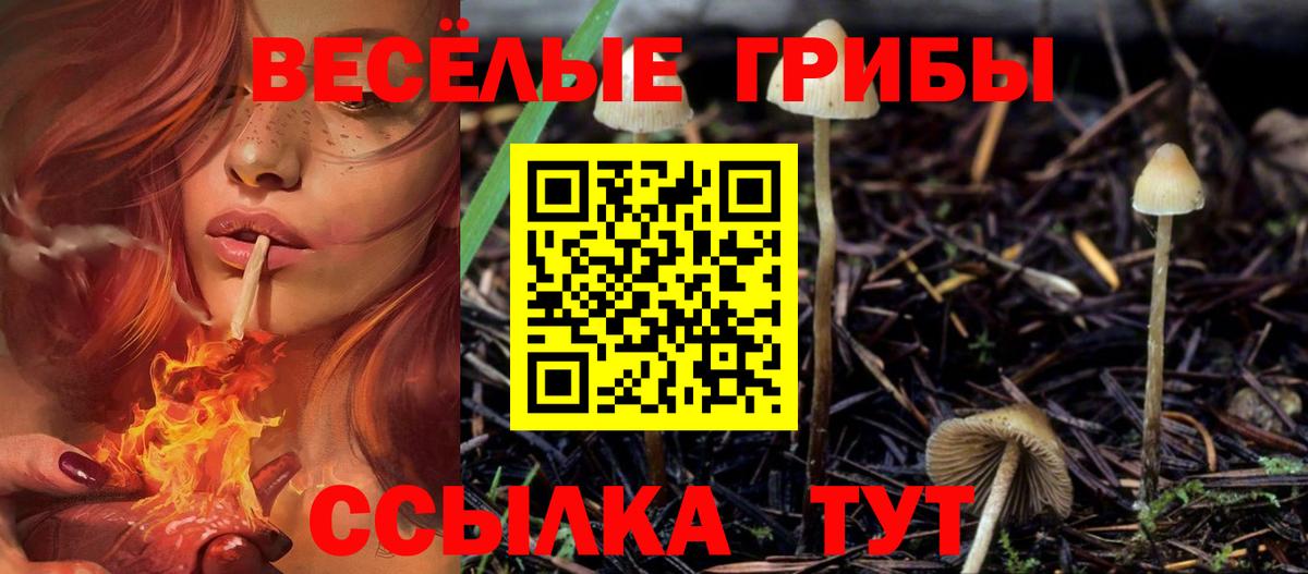 Чайковский  наркота  Вход с VPN  Псилоцибиновые грибы Magic Shrooms 